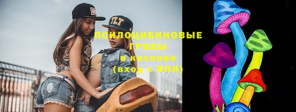 мдпв Дмитров