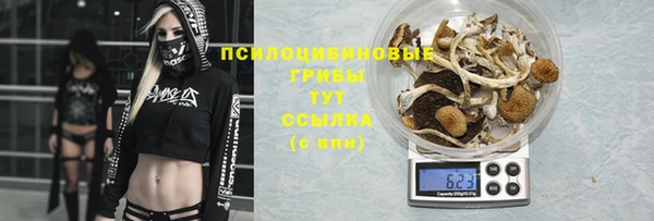 apvp Дмитровск