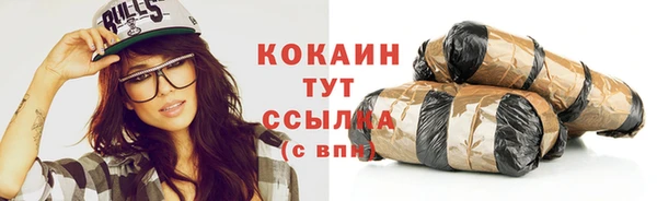 мдпв Дмитров