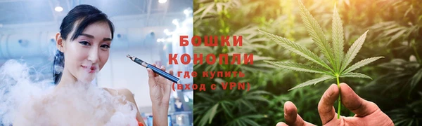 мдпв Дмитров