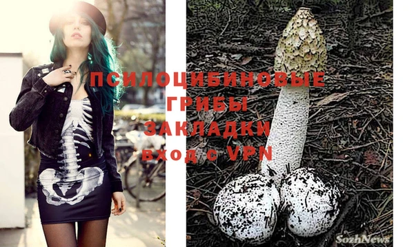 прущая мука Дмитриев