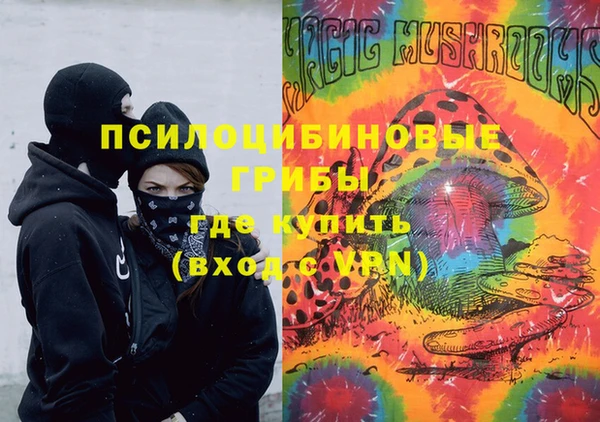 мдпв Дмитров