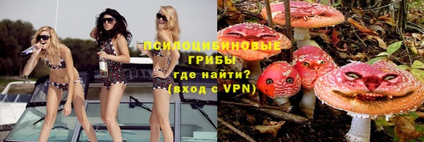 apvp Дмитровск
