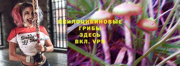 прущая мука Дмитриев