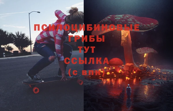 прущая мука Дмитриев