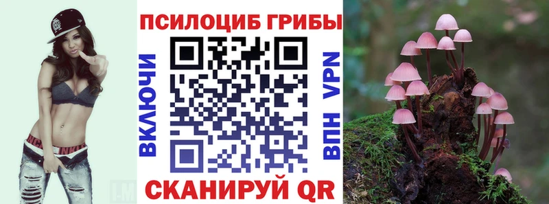Галлюциногенные грибы Cubensis  Купить  Новомосковск 
