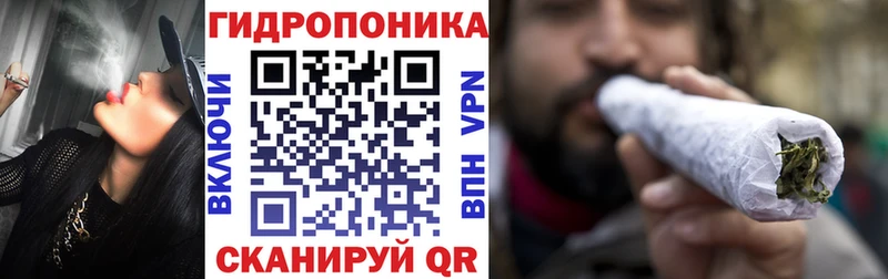 Бошки марихуана сатива  Купить  Новомосковск 